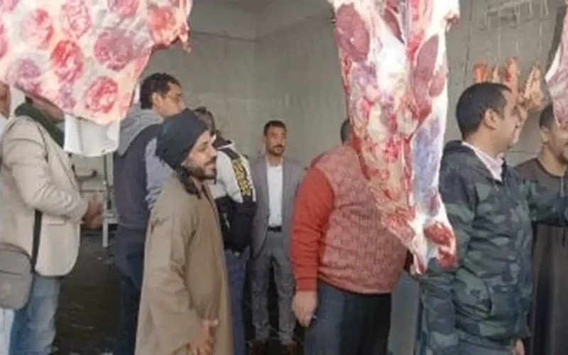 تحديث اليوم أسعار اللحوم في منافذ الأقصر الأحد 25 يناير